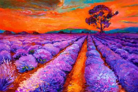 Lavender fields painting Stock Photos, Royalty Free Lavender fields ...