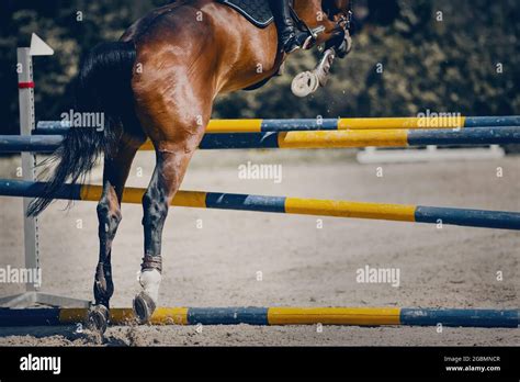 The horse overcomes an obstacle. Equestrian sport, jumping. Overcome ...