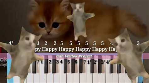 Happy Happy Happy Cat song meme - YouTube