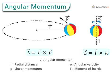 Angular Momentum: Definition, Formula, and Solved Problems