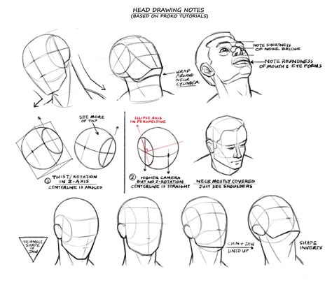 Will Burns: Head Drawing Guides