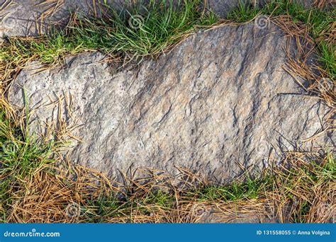 An Image of a Stone Footpath Texture with Green Grass Around Stock ...