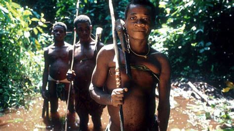 Congo Basin - The Indigenous Peoples of Africa Co-ordinating Committee