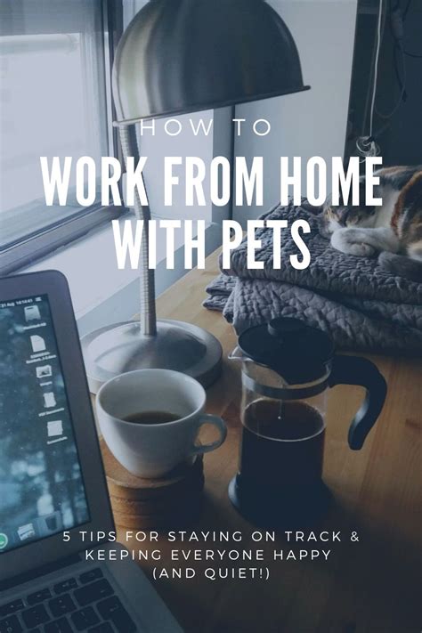 How to Work from Home with Pets - Oh My Dog!