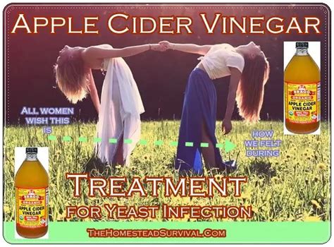 Apple Cider Vinegar Treatment for Yeast Infection - The Homestead Survival