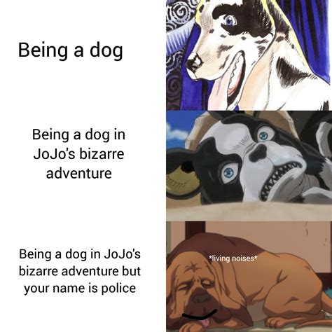 What Is Jojos Dogs Name