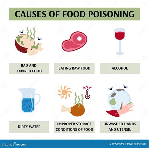 Vector Illustration of the Causes of Food Poisoning Stock Vector ...