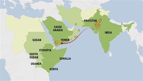 East Africa's locust crisis