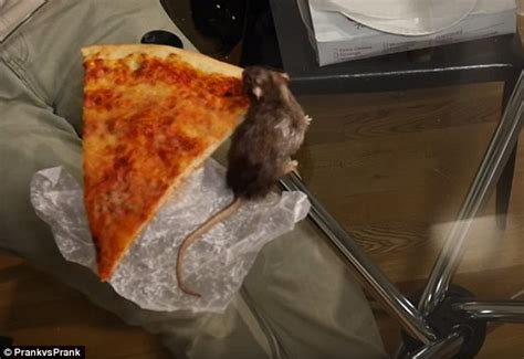 PrankvsPrank's Pizza Rat video shows New Yorkers fleeing from fake ...