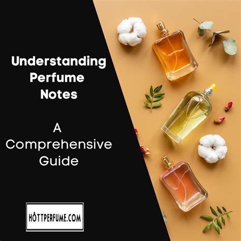 Understanding Perfume Notes: A Comprehensive Guide - HottPerfume.com