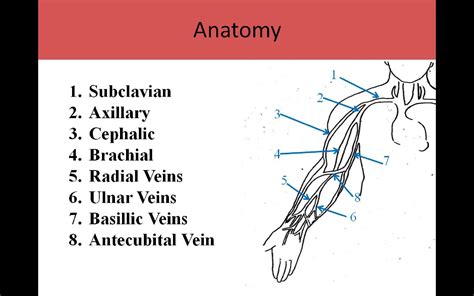 Extremity Venous Pg1 | Diagnostic medical sonography, Veins, Vein ...