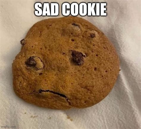 Sad cookie - Imgflip