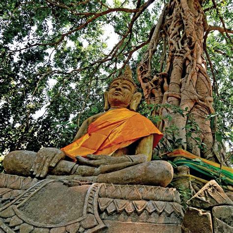 Under the Bodhi Tree: Buddha’s Original Vision of Dependent Co-arising ...