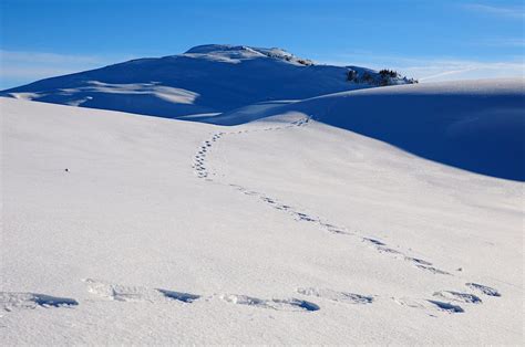 The Jura Mountains travel | France - Lonely Planet