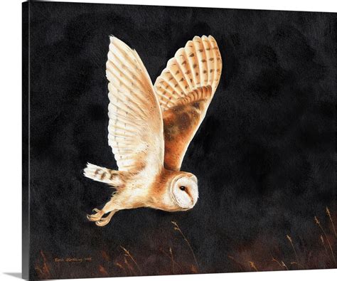 Barn Owl Flying Wall Art, Canvas Prints, Framed Prints, Wall Peels ...