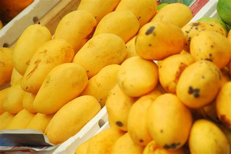 Queen of Mangoes: Sindhri from Pakistan now in UAE