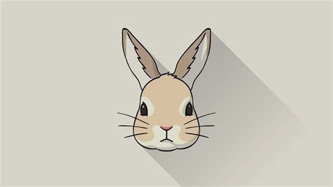 Rabbit Head Drawing at GetDrawings | Free download