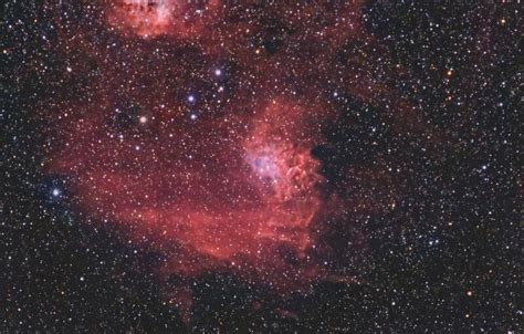 Flaming Star Nebula V2 - Images - Photo Gallery - Cloudy Nights