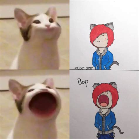 Bop cat meme by LonelySushi on DeviantArt