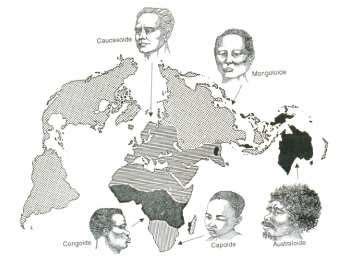 The spreading of the five human subspecies until 1492 | Download ...