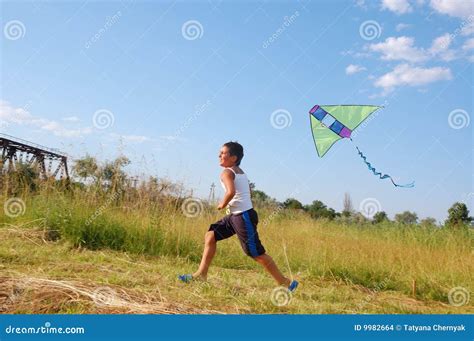 Boy flying a kite stock photo. Image of hobby, child, cheerful - 9982664