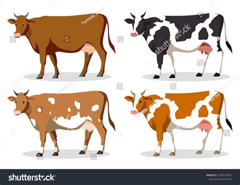 2,004 Farm Caw Images, Stock Photos & Vectors | Shutterstock