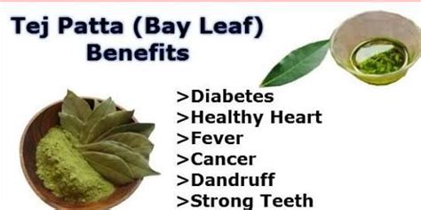 Bay leaf benefits | Bay leaf benefits, Health, Herbalism