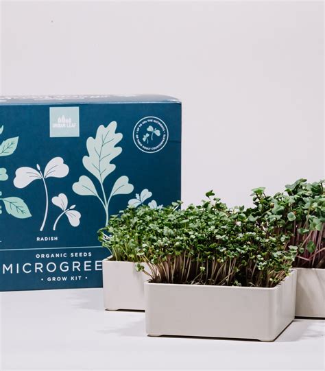 Organic Microgreens Growing Kit Microgreens Grow Kit | Etsy