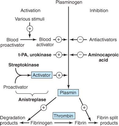 Pharmacology: Chap 34: Drugs used in coagulation I - basic principles