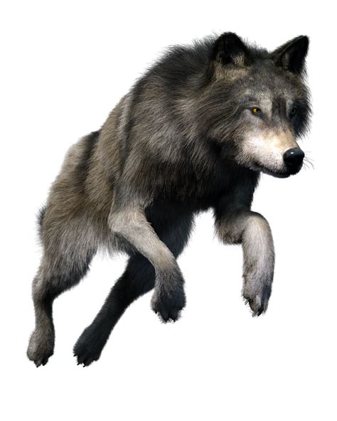 Wolves Png : Wolves Png Png Images Png Cliparts Free Download On ...