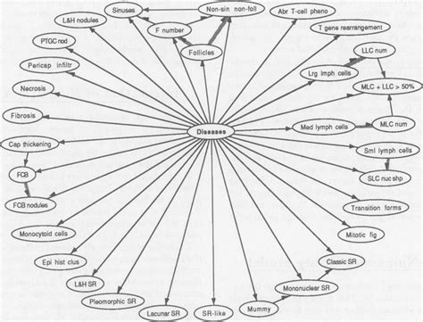 A portion of the Pathfinder belief network. The arcs from the disease ...