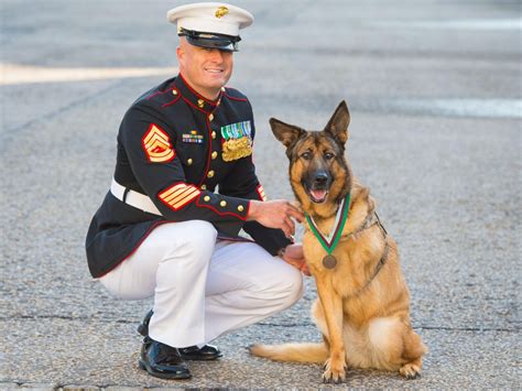 Amazing Animals Awarded a Medal For Bravery - Love Your Pet | Pets ...