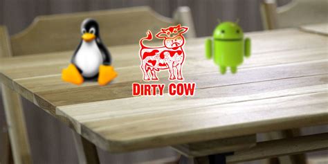 Dirty COW Vulnerability: Everything You Need to Know to Stay Secure