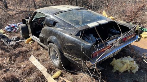 Evakuierung Wirksam Künstlich mustang shelby gt500 1967 Abkürzen ...