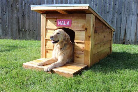 Diy Dog Houses