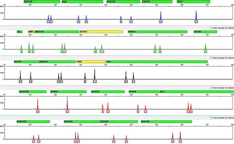 DNA profile with 24 genetic markers