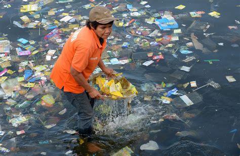 Ocean Pollution: Even Sea Creatures in the Deepest, Darkest Trenches ...