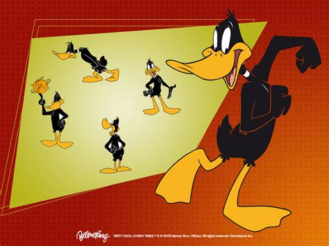 Daffy Duck Wallpaper - Looney Tunes Wallpaper (5226651) - Fanpop