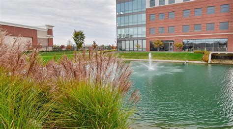 Pond Maintenance: Real Expertise, Real Results - Five Seasons Landscape