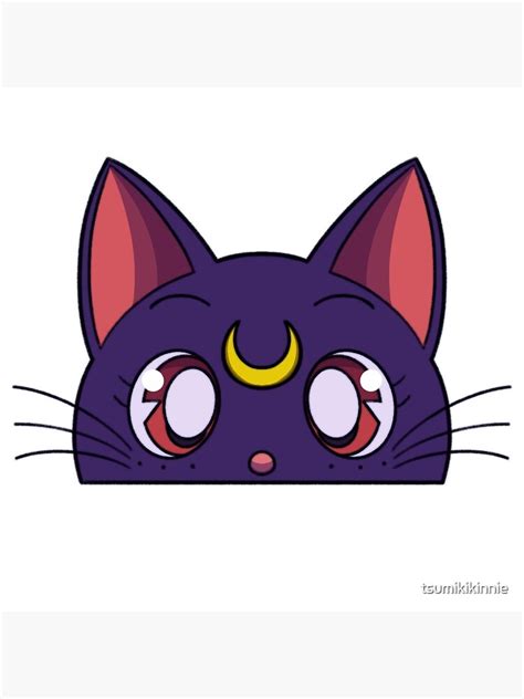 Luna Sailor Moon Cute Kawaii Cat | ubicaciondepersonas.cdmx.gob.mx