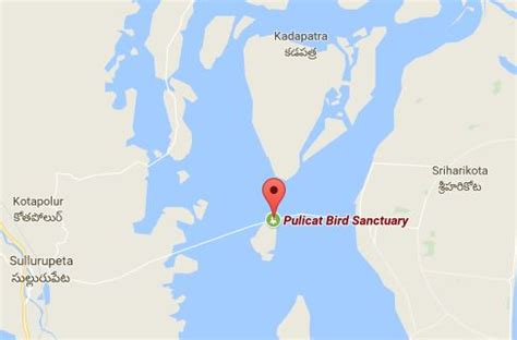 TAMILNADU SANCTUARY: Pulicat Lake Birds Sanctuary