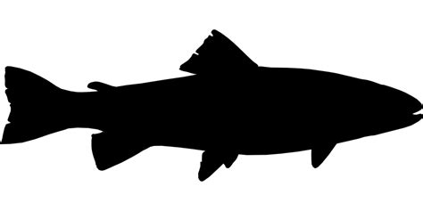 Free Image on Pixabay - Fish, Black, Fishing, Silhouette | Silhouette ...