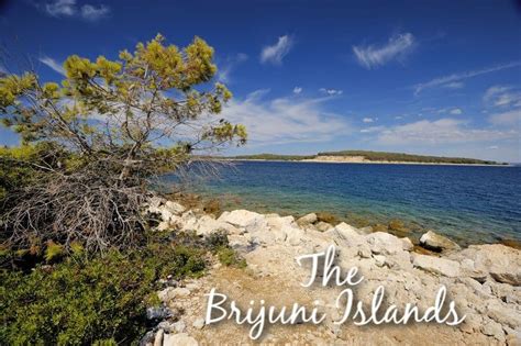 The Brijuni Islands- Getting There, What to See and Do - Visit Croatia