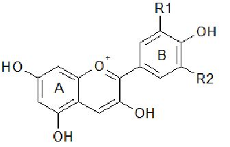 Anthocyanidins structure. | Download Scientific Diagram