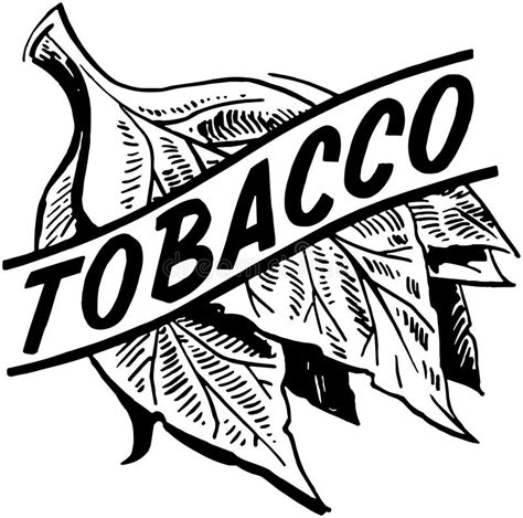 Tobacco Leaf Stock Illustrations – 2,685 Tobacco Leaf Stock ...