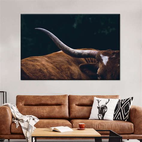 Cow Texas Longhorn Wall Art | Photography