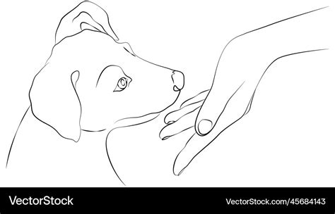 Womans hand and muzzle of a puppy dog human Vector Image