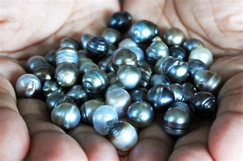 Pearl Meaning: The Myths Behind These Sea Gems - TPS Blog