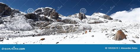 Mountains Panorama after a Snowfall, Himalaya, Nepal Stock Image ...