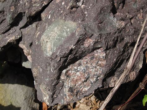 Diamictite (metatillite) (Konnarock Formation, Neoproteroz… | Flickr